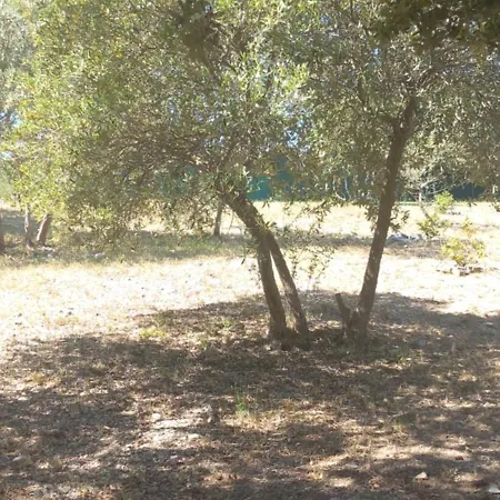 Maprovencale Les Arcs-sur-Argens